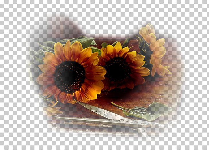 Common Sunflower Cloth Napkins Table Desktop Vase PNG, Clipart, Artificial Flower, Calendula, Cicek, Cicek Resimleri, Cloth Napkins Free PNG Download