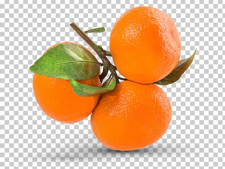 Mandarin Orange Clementine Grapefruit PNG, Clipart, Bitter Orange, Calamondin, Chenpi, Citric Acid, Citrus Free PNG Download