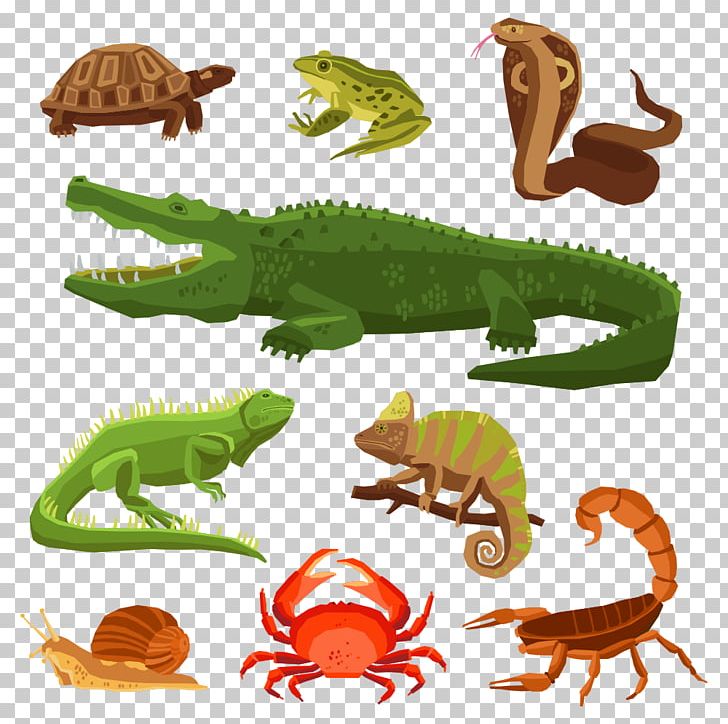 Amphibian Reptile Stock Photography PNG, Clipart, Amphibians, Animal Figure, Animal Illustration, Animals, Cartoon Animals Free PNG Download