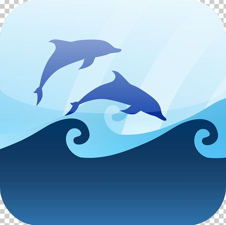 Common Bottlenose Dolphin Wind Wave Seawater Marine Mammal PNG, Clipart, Cetacea, Common Bottlenose Dolphin, Dispersion, Dolphin, Fin Free PNG Download