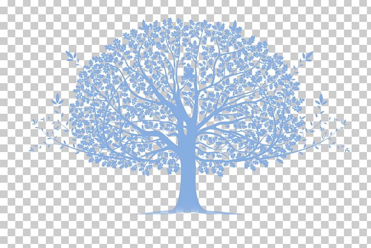 Family Tree Genogram Community Genealogy PNG, Clipart, Blue, Branch, Chejire Kazakh, Child, Community Free PNG Download
