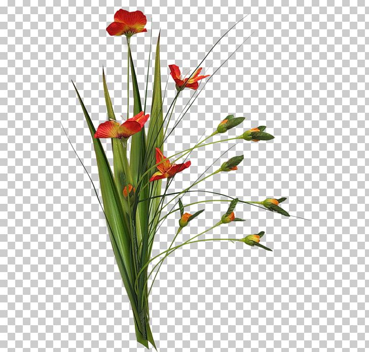 Floral Design Cut Flowers Plant Stem PNG, Clipart, Animaatio, Cicek, Cicek Resimleri, Cut Flowers, Drawing Free PNG Download