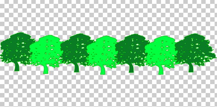 Forest Tree PNG, Clipart, Clip Art, Environment, Forest, Forest Green, Forestry Free PNG Download