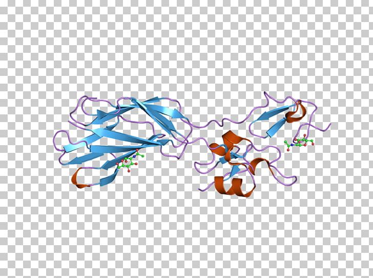 Integrin Beta 2 Protein Gene Biology PNG, Clipart, Art, Biology, Computer, Computer Wallpaper, Domain Free PNG Download