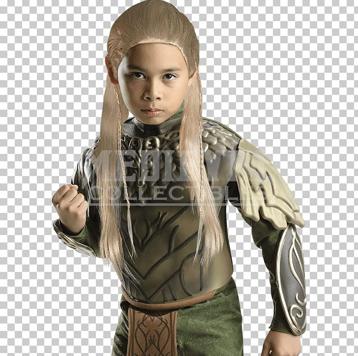Legolas Tauriel Bilbo Baggins Gandalf The Lord Of The Rings: The Fellowship Of The Ring PNG, Clipart, Arm, Bilbo Baggins, Boy, Child, Clothing Free PNG Download