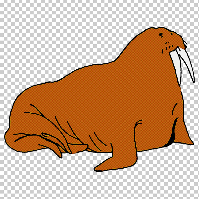 Sea Lions Dog Walrus Whiskers Cat PNG, Clipart, Cartoon, Cat, Dog, Drawing, Line Art Free PNG Download