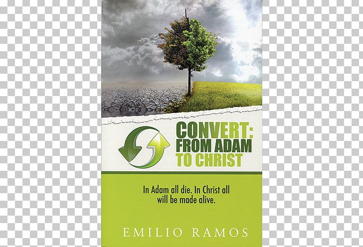 Convert: From Adam To Christ: In Adam All Will Die PNG, Clipart, Adam And Eve, Advertising, Answers In Genesis, Authority, Book Free PNG Download