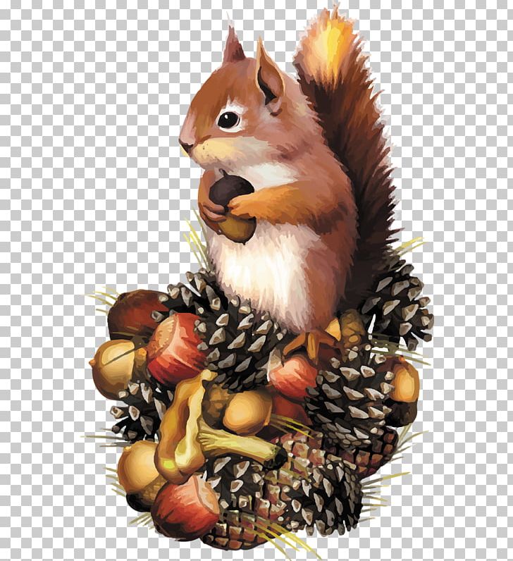 Squirrel Chipmunk PNG, Clipart, Art, Chipmunk, Coloring Book, Computer, Fauna Free PNG Download