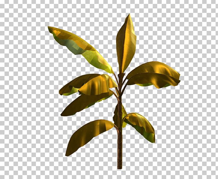 Leaf Plant Stem Branching PNG, Clipart, Branch, Branching, Leaf, Plant, Plant Stem Free PNG Download