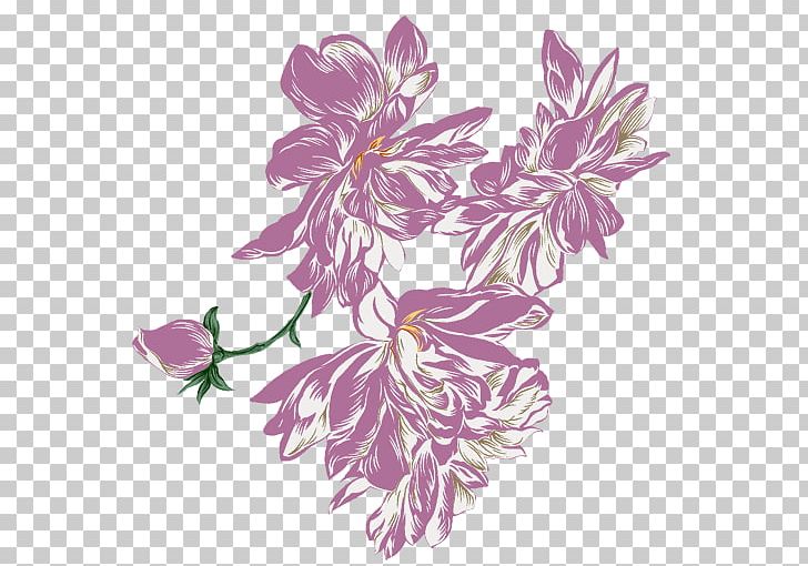 Purple Herbaceous Plant Violet PNG, Clipart, Chrysanths, Collage, Document, Download, Drawing Free PNG Download