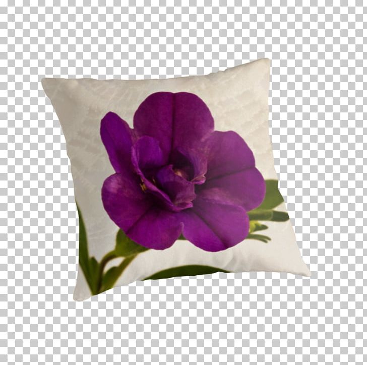 Throw Pillows Cushion Violet Family PNG, Clipart, Cushion, Family, Flower, Flowering Plant, Furniture Free PNG Download