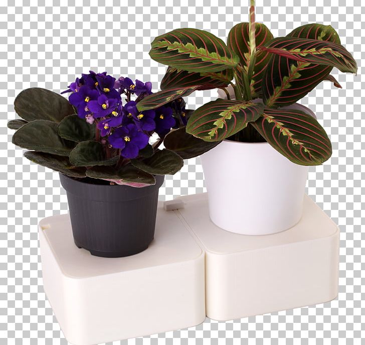 Flowerpot Houseplant Herb PNG, Clipart, Flower, Flowerpot, Herb, Houseplant, Nature Free PNG Download