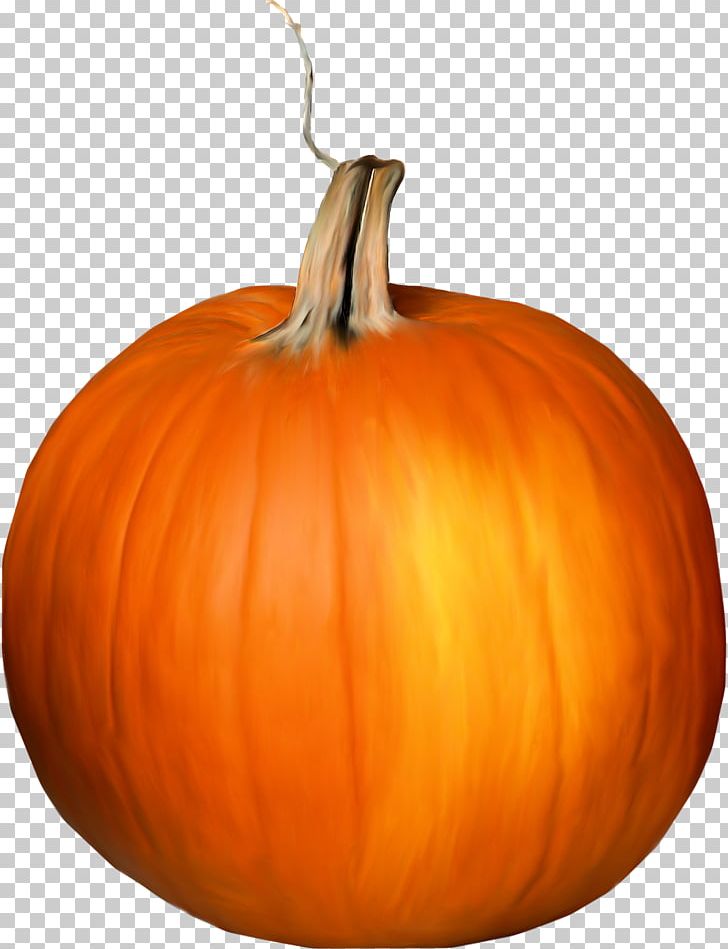 Jack-o-lantern Calabaza Pumpkin Gourd PNG, Clipart, Calabaza, Carving, Co Cou90fdu53ef, Cucumber Gourd And Melon Family, Cucurbita Free PNG Download