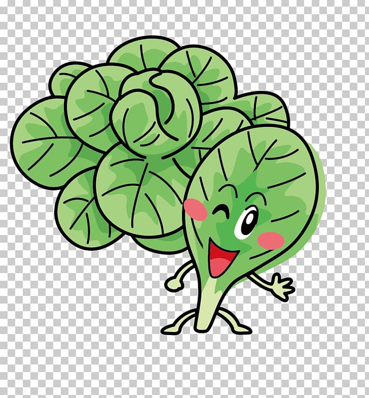 Leaf PNG, Clipart, Banana Leaves, Cabbage, Cabbage Vector, Cartoon, Encapsulated Postscript Free PNG Download