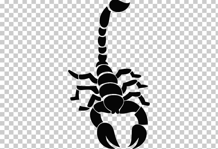 Scorpion Tattoo Artist Decal Drawing PNG, Clipart, Abziehtattoo, Arachnid, Artwork, Black And White, Decal Free PNG Download