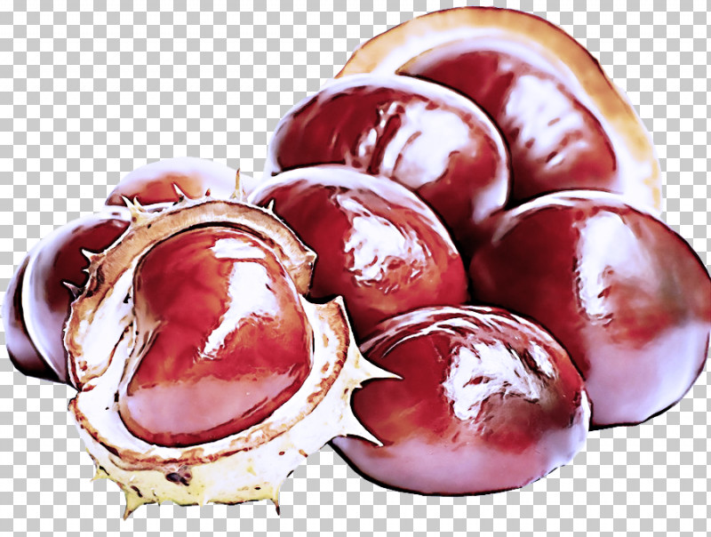Mozartkugel Superfood Chestnut Cranberry Ingredient PNG, Clipart, Chestnut, Cranberry, Fruit, Ingredient, Mozartkugel Free PNG Download