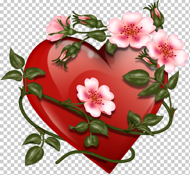 Valentine Hearts Red Heart Valentines PNG, Clipart, Flower, Love, Pink, Plant, Prickly Rose Free PNG Download