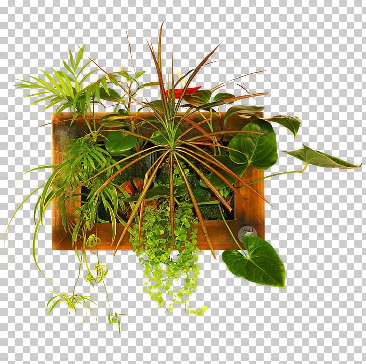 Houseplant Flowerpot Herb PNG, Clipart, Calatheas, Flowerpot, Herb, Houseplant, Others Free PNG Download