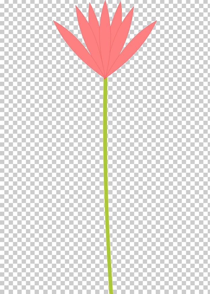 Petal PNG, Clipart, Art, Blume, Cartoon, Clip Art, Flora Free PNG Download