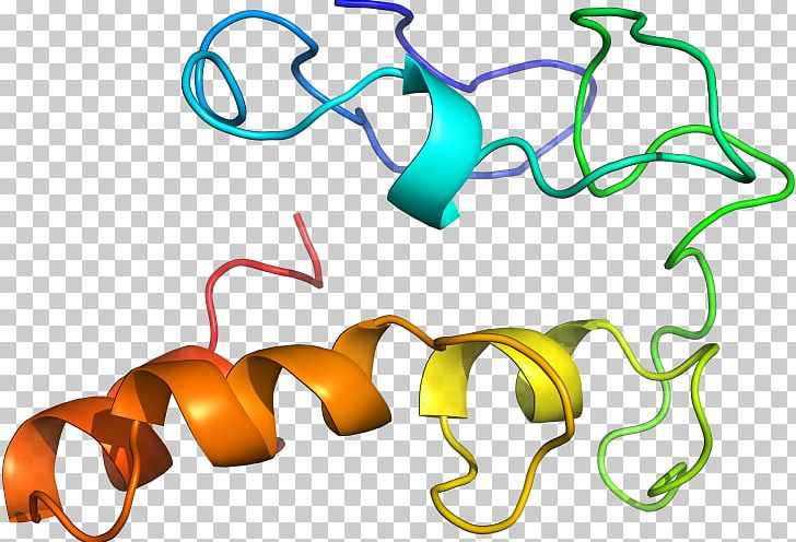 Line PNG, Clipart, Area, Art, Artwork, Cytochrome, Line Free PNG Download