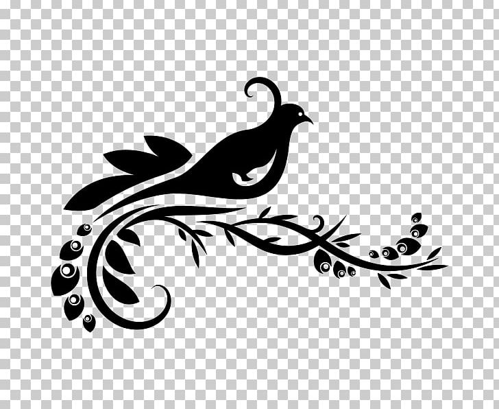 Paper Wall Decal Sticker PNG, Clipart, Art, Beak, Bird, Black And White, Branch Free PNG Download