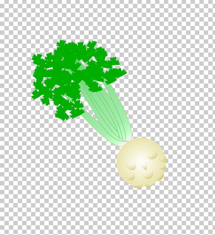 Celeriac Tuna Fish Sandwich Tuna Salad Macaroni Salad PNG, Clipart, Apium, Celeriac, Celery, Computer Icons, Flower Free PNG Download