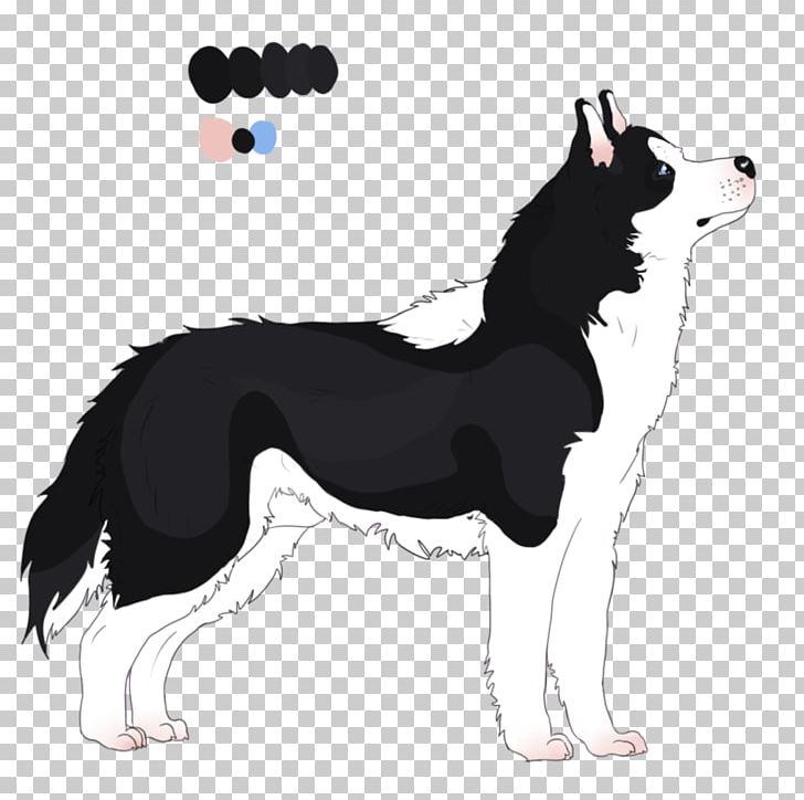 Dog Breed Border Collie Rough Collie PNG, Clipart, Border Collie, Breed, Carnivoran, Collie, Dog Free PNG Download