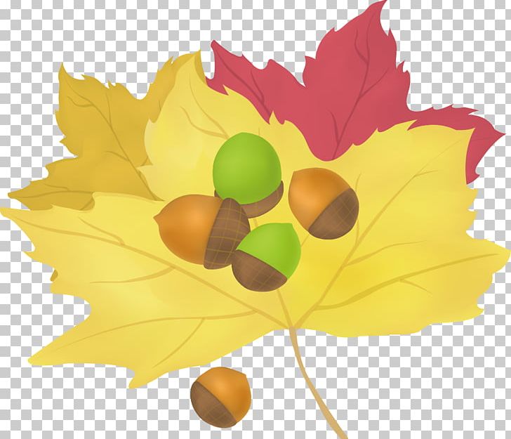 Maple Leaf Cartoon PNG, Clipart, Auglis, Autumn, Autumn Leaves, Autumn Tree, Camera Icon Free PNG Download