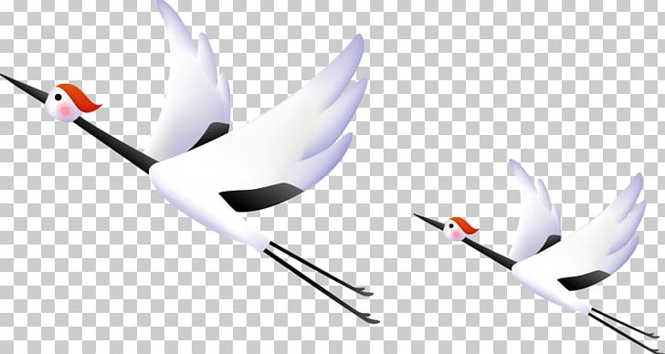 Red-crowned Crane Bird PNG, Clipart, Angle, Asuka, Bird, Crane, Cutlery Free PNG Download