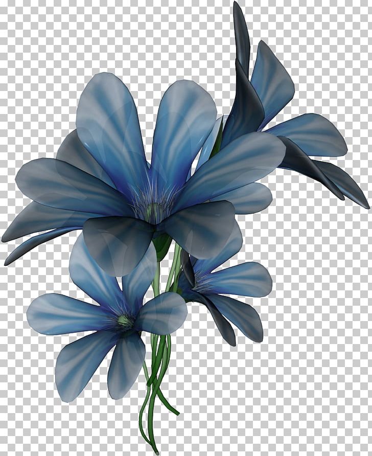 Blue Aquamarine Green Flower PNG, Clipart, Aquamarine, Blue, Computer Graphics, Cornflower, Cut Flowers Free PNG Download