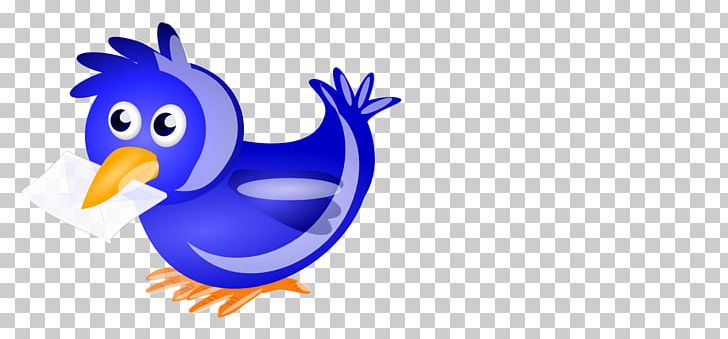 English Carrier Pigeon Racing Homer Columbidae Chicken PNG, Clipart, Animals, Beak, Bird, Chicken, Columbidae Free PNG Download