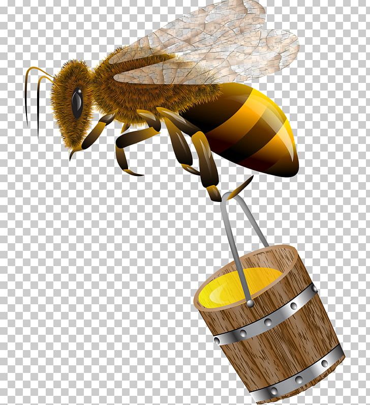 Honey Bee PNG, Clipart, Arthropod, Bee, Bee Hive, Bees, Bees Honey Free PNG Download
