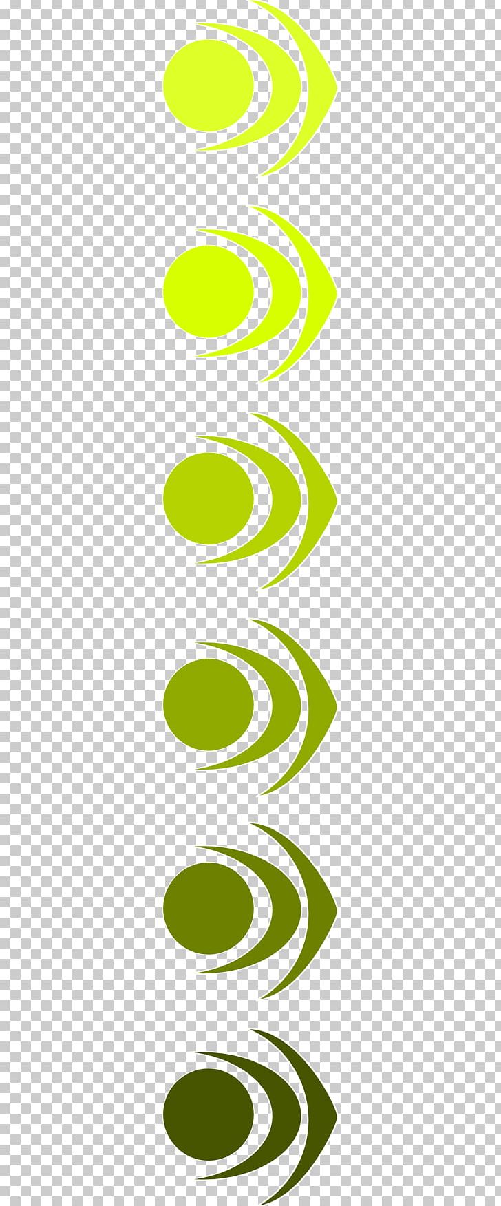 Leaf Angle White PNG, Clipart, Angle, Area, Black And White, Bullet Force, Circle Free PNG Download