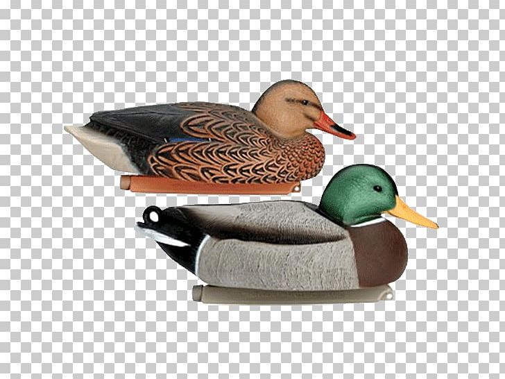 Mallard Duck Decoy Hunting Duck Decoy PNG, Clipart, Angling, Animals, Artikel, Bait, Beak Free PNG Download