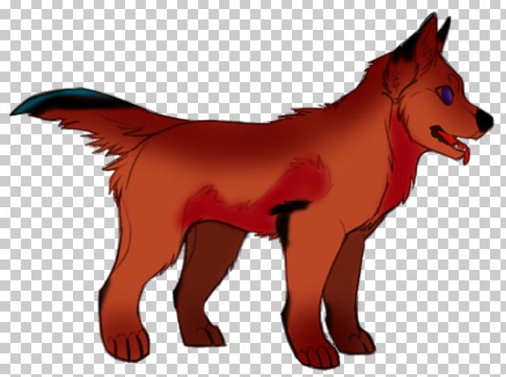 Red Fox Dog Dhole Red Wolf Snout PNG, Clipart, Animals, Carnivoran, Character, Dhole, Dog Free PNG Download