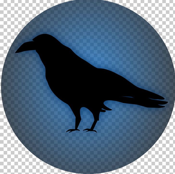 Computer Icons Crow PNG, Clipart, Animals, Beak, Bird, Common Raven, Computer Icons Free PNG Download