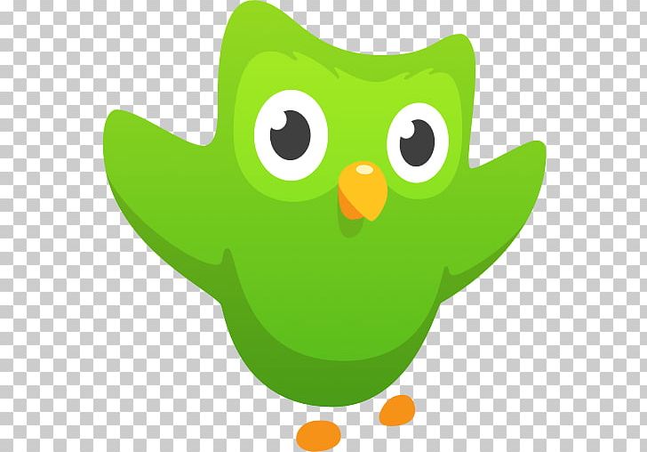 Duolingo Memrise Learning Language Education PNG, Clipart, Beak, Bird ...