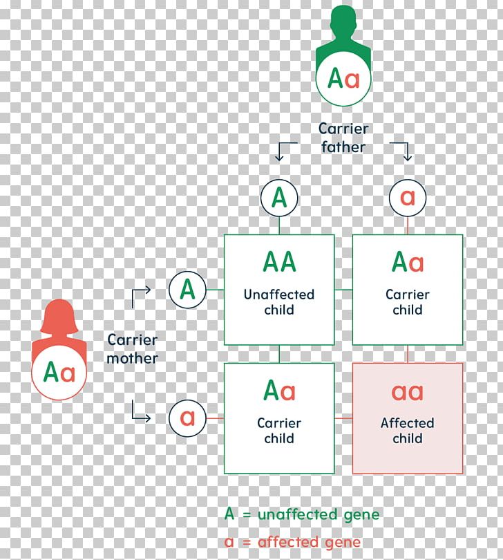 Logo Brand Organization PNG, Clipart, Area, Brand, Communication, Diagram, Line Free PNG Download