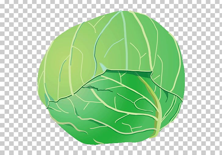 Cabbage Green PNG, Clipart, Cabbage, Circle, Green, Leaf, Organism Free PNG Download