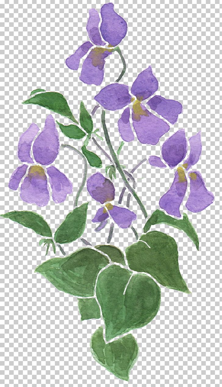 Cloth Napkins Sweet Violet Flower Drawing PNG, Clipart, African Violets, Birth Flower, Blue, Branch, Cloth Free PNG Download
