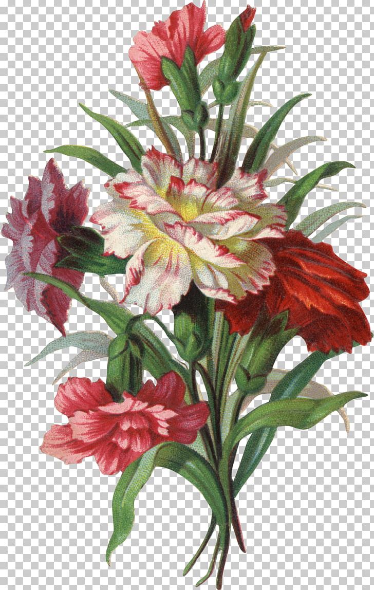 Flower Victorian Era Photography PNG, Clipart, Alstroemeriaceae, Carnation, Clip Art, Cut Flowers, Floral Design Free PNG Download