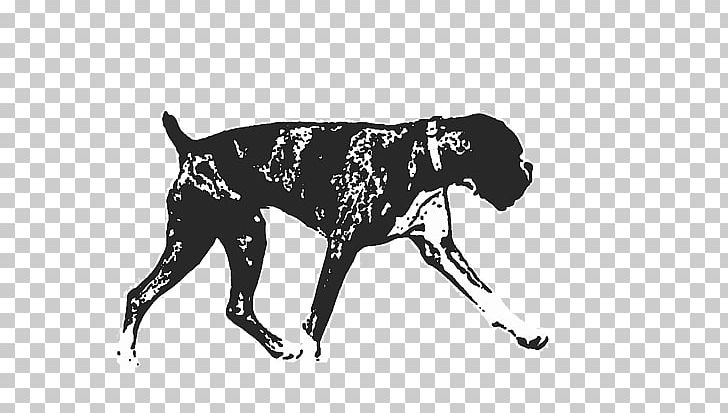 Great Dane Dog Breed Sporting Group Military Army PNG, Clipart, Army, Belt, Black, Black And White, Boxer Dog Free PNG Download