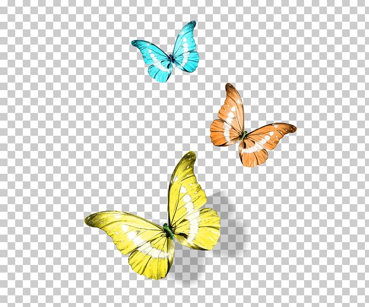 Monarch Butterfly Cartoon PNG, Clipart, Adobe Illustrator, Blue, Blue Butterfly, Brush Footed Butterfly, Butterflies Free PNG Download