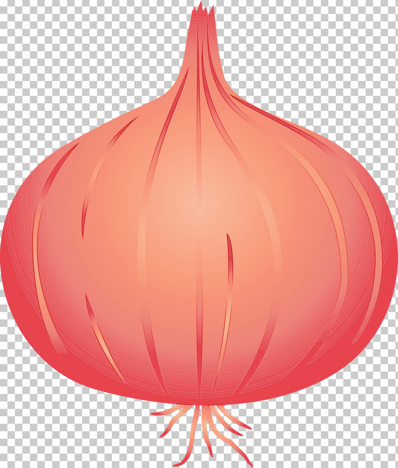 Red Balloon PNG, Clipart, Balloon, Onion, Paint, Red, Watercolor Free PNG Download