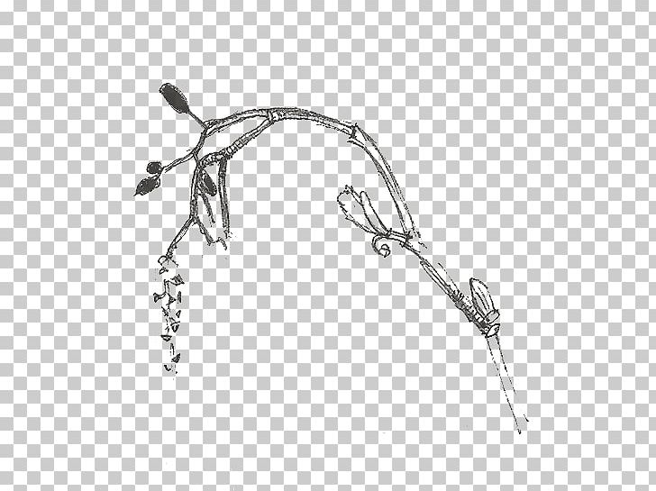 Drawing Line Body Jewellery Angle PNG, Clipart, Angle, Arm, Art, Black And White, Body Jewellery Free PNG Download