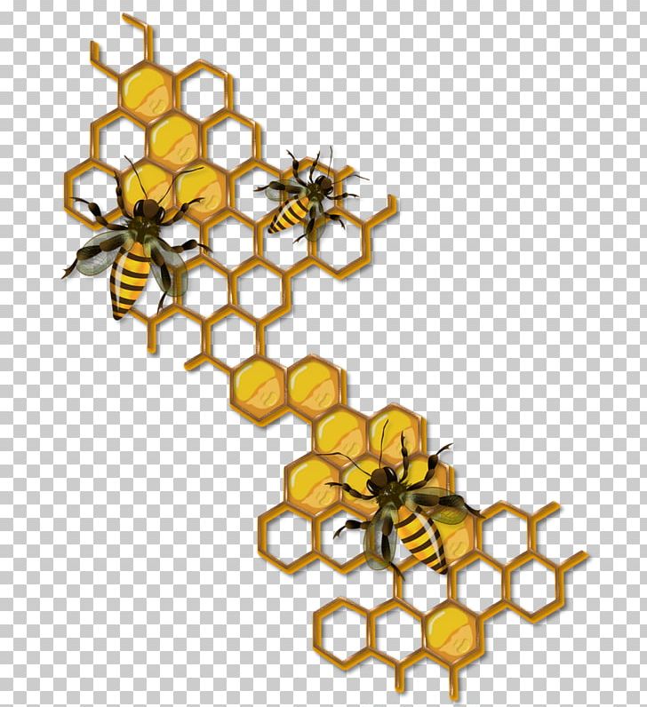 Honey Bee Beehive Drawing Maya PNG, Clipart, Bee, Beehive, Beekeeping, Body Jewelry, Drawing Free PNG Download