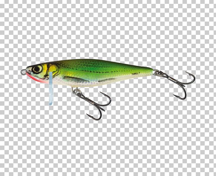 Plug Fishing Baits & Lures Asp Angling PNG, Clipart, Angling, Asp, Bait, Bony Fish, Common Bleak Free PNG Download