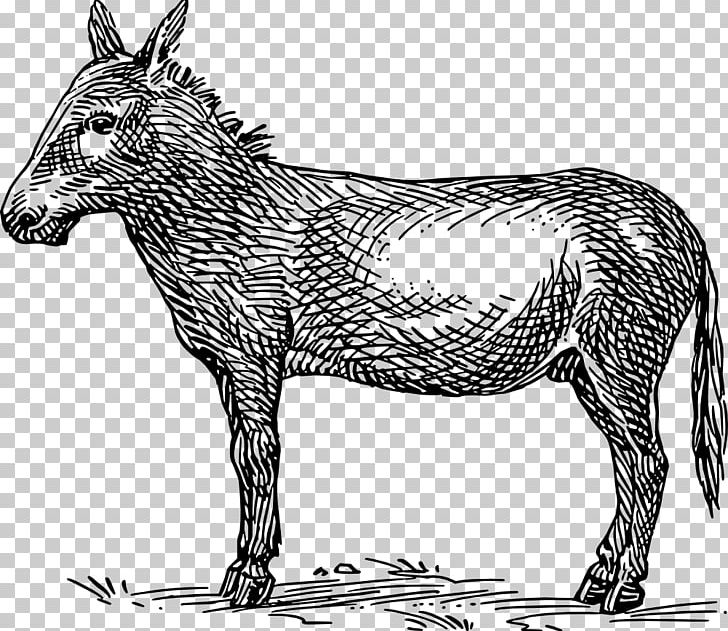 Donkey PNG, Clipart, Animal Figure, Animals, Art, Black And White, Donkey Free PNG Download
