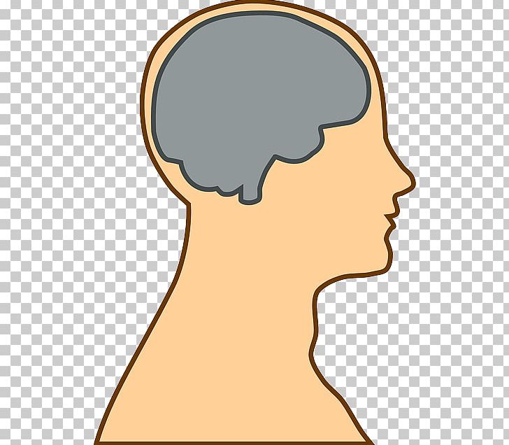Brain PNG, Clipart, Brain, Cheek, Computer Icons, Document, Drawing Free PNG Download