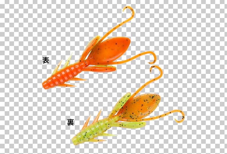 Fishing Baits & Lures Fishing Reels Amazon.com Fishing Rods PNG, Clipart, Amazoncom, Bait, Fish, Fishing, Fishing Bait Free PNG Download